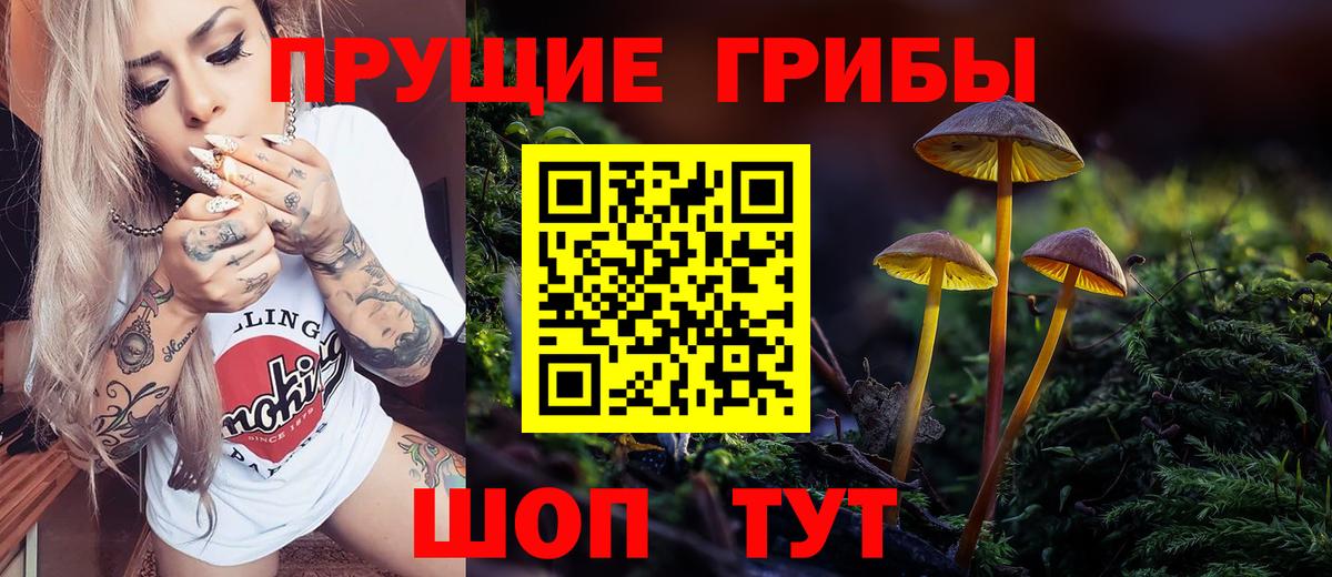 Псилоцибиновые грибы ЛСД  Псилоцибиновые грибы Psilocybe  Вход с VPN  Советская Гавань 